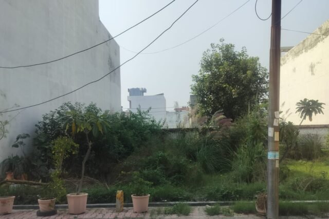 MDA APPROVED PLOT